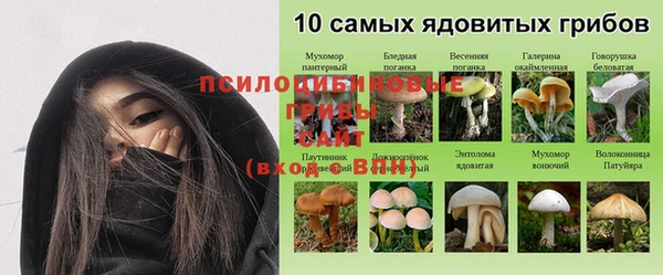 бошки Покров