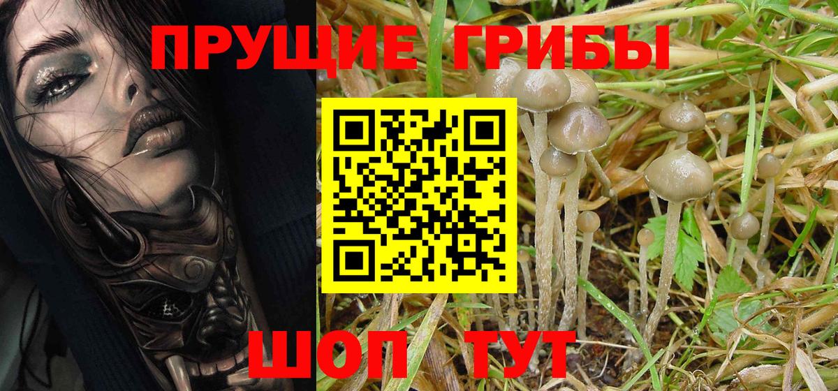 Псилоцибиновые грибы мухоморы  Калуга 