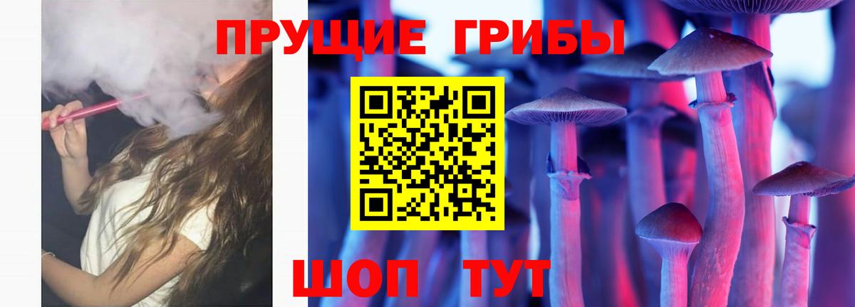 Калуга  Галлюциногенные грибы Psilocybe  Вход с VPN 