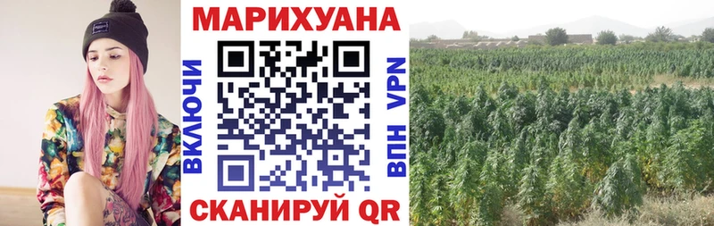 Бошки марихуана Bruce Banner где купить наркоту Калуга